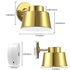 AIBOO LED Battery Operated Wall Lights with Remote, Color Changing and Dimmable Art Display Lights USB Rechargeable Wall Sconces for Bedroom, Living Room, Stairs, Gallery (Gold, 2 Pack)