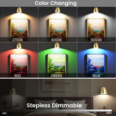 AIBOO LED Battery Operated Wall Lights with Remote, Color Changing and Dimmable Art Display Lights USB Rechargeable Wall Sconces for Bedroom, Living Room, Stairs, Gallery (Gold, 2 Pack)