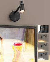 Zoomable Picture Light for Wall, Battery Operated Art Light for Paintings CCT Dimmable Spotlight for Wall Art Wall Light with Remote Control for Living Room Gallery Dartboard Bathroom - wall sconce - AIBOO