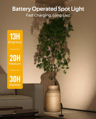 Spotlights Indoor, No-Glare Rechargeable Long Floor Can Light for Plants with Remote, Wireless Art Accent Spot Lights Uplight for Painting, Picture, Dartboard, Home, Corner Sofa Display