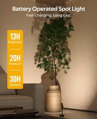 Spotlights Indoor, No-Glare Rechargeable Long Floor Can Light for Plants with Remote, Wireless Art Accent Spot Lights Uplight for Painting, Picture, Dartboard, Home, Corner Sofa Display - wall sconce - AIBOO