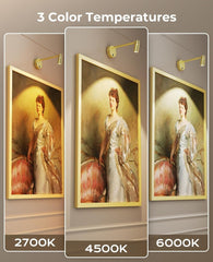 Zoomable Picture Light for Wall, Battery Operated Art Light for Paintings CCT Dimmable Spotlight for Wall Art Wall Light with Remote Control for Living Room Gallery Dartboard Bathroom Light Gold - wall sconce - AIBOO