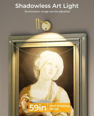 Picture Light for Wall, Battery Operated Art Light for Paintings CCT Dimmable Recharging Gallery Battery Wall Light with Remote Control for Living Room Gallery Dartboard Art Bathroom - wall sconce - AIBOO