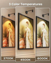 Zoomable Picture Light for Wall, Battery Operated Art Light for Paintings CCT Dimmable Spotlight for Wall Art Wall Light with Remote Control for Living Room Gallery Dartboard Bathroom - wall sconce - AIBOO