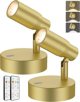 Spot Lights Indoor, Rechargeable Picture Light with Remote, Dimmable CCT Spotlight for Wall Art, 6000mAh Battery Uplights Indoor with Timer for Plant Artwork Painting Sofa Corner Light Gold - Wall Lamp - AIBOO