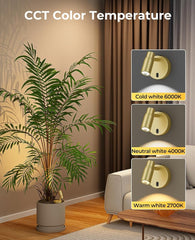 Spot Lights Indoor, Rechargeable Picture Light with Remote, Dimmable CCT Spotlight for Wall Art, 6000mAh Battery Uplights Indoor with Timer for Plant Artwork Painting Sofa Corner Light Gold - Wall Lamp - AIBOO