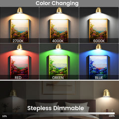 AIBOO LED Battery Operated Wall Lights with Remote, Color Changing and Dimmable Art Display Lights USB Rechargeable Wall Sconces for Bedroom, Living Room, Stairs, Gallery (Gold, 2 Pack)
