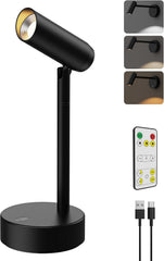Spotlights Indoor, No-Glare Rechargeable Long Floor Can Light for Plants with Remote, Wireless Art Accent Spot Lights Uplight for Painting, Picture, Dartboard, Home, Corner Sofa Display