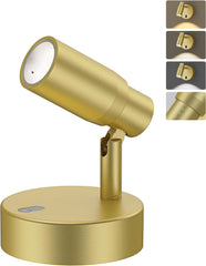 Spot Lights Indoor, Rechargeable Picture Light with Remote Battery Uplights