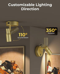 Spot Lights Indoor, Rechargeable Picture Light with Remote Battery Uplights