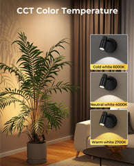 Spot Lights Indoor, Rechargeable Picture Light with Remote, Dimmable CCT Spotlight for Wall Art, Battery Uplights Indoor with Timer for Plant Artwork Painting Sofa Corner 1PC - wall sconce - AIBOO
