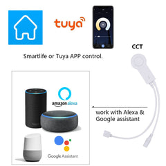 Intelligenter WLAN-Controller, kompatibel mit Amazon Alexa und Google Assistant